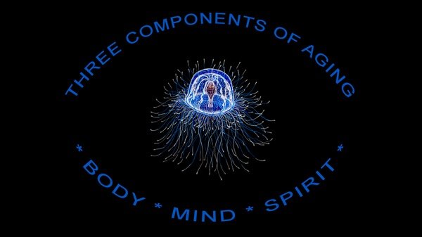 Three Components of Aging