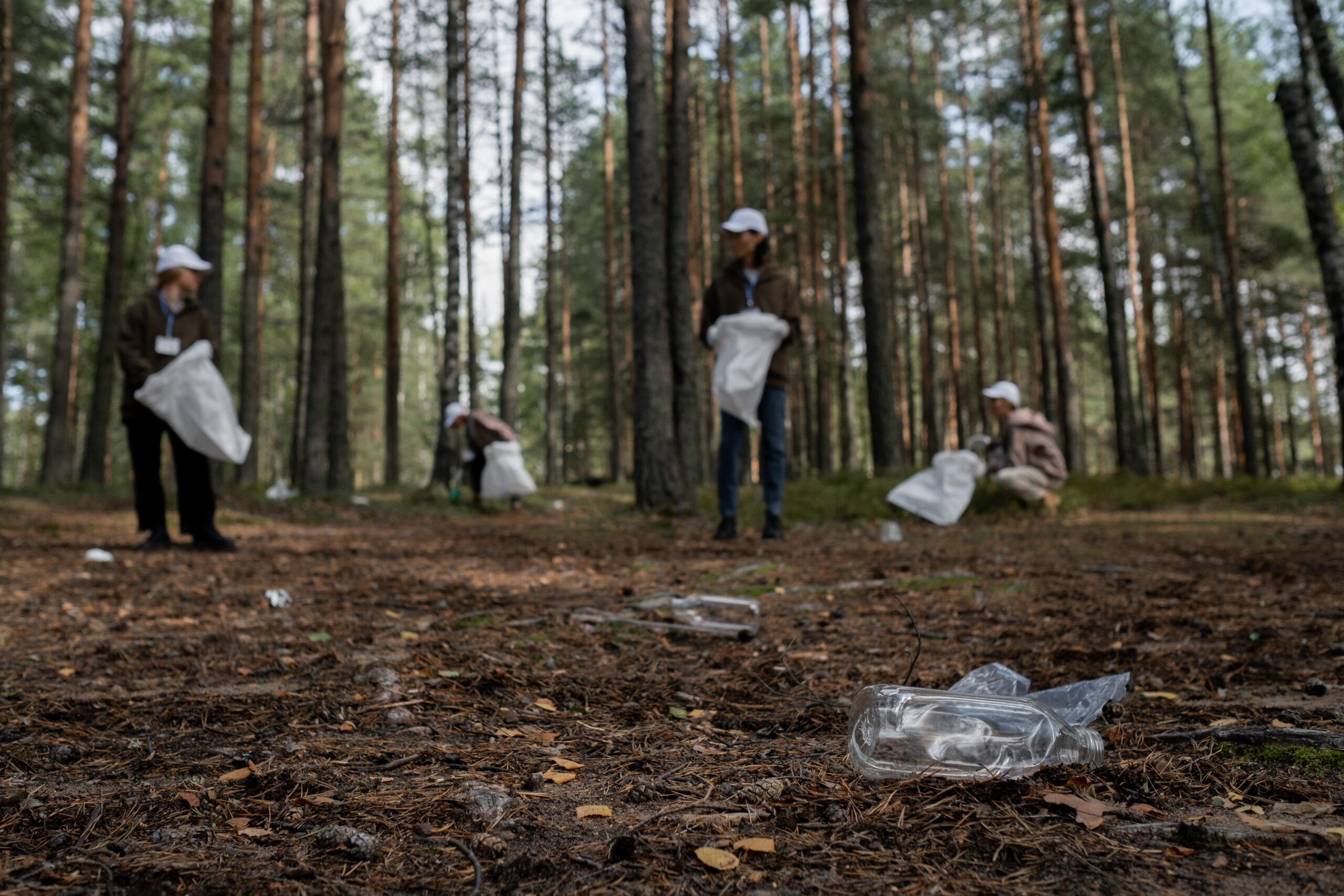 Cleaning the garbage left behinds by humans in a nature park
