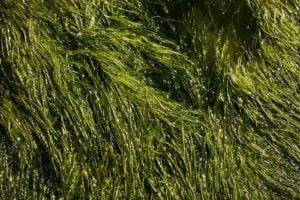 Top Skills You Need To Get Green Jobs